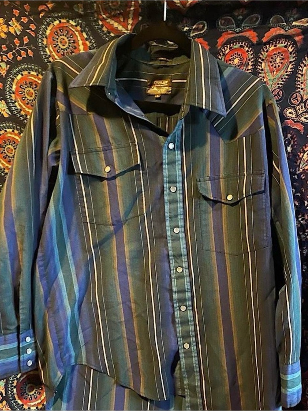 Vintage Striped Western Shirt  in Green & Blue